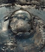 A tar bubble rises from the Tumba La Brea Tar Pits in Los Celestiales as if in an unholy birth.